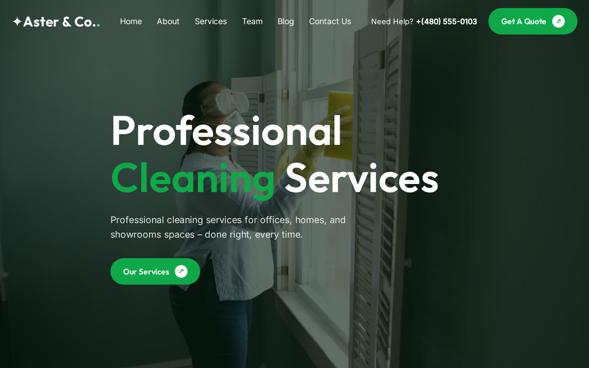 Cleaning services website hero section: Professional Cleaning Services